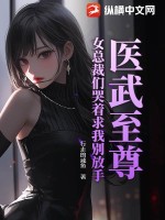  医武至尊：女总裁们哭着求我别放手